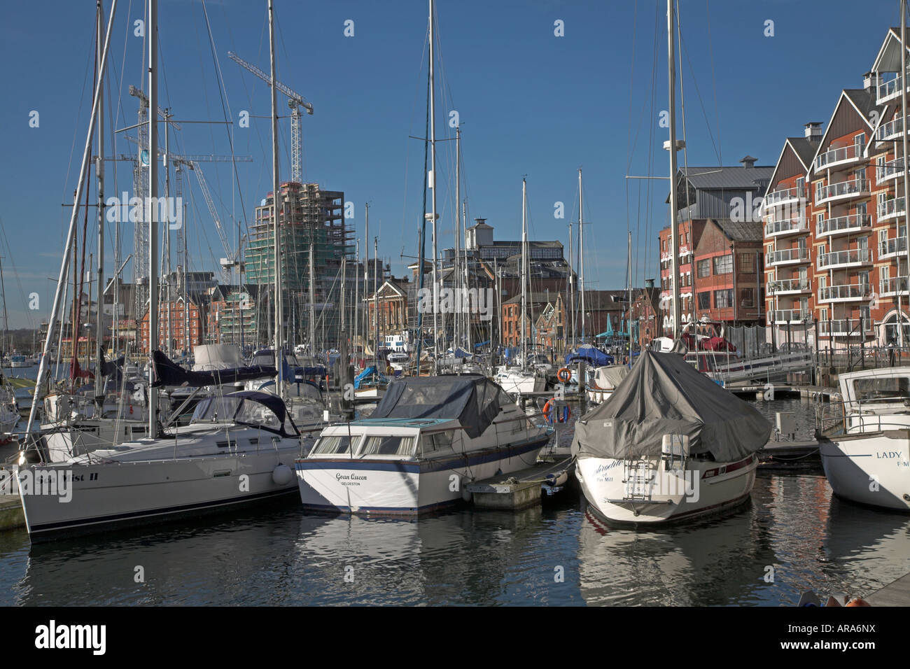 Barche in marina di Ipswich Darsena, Suffolk in Inghilterra Foto Stock