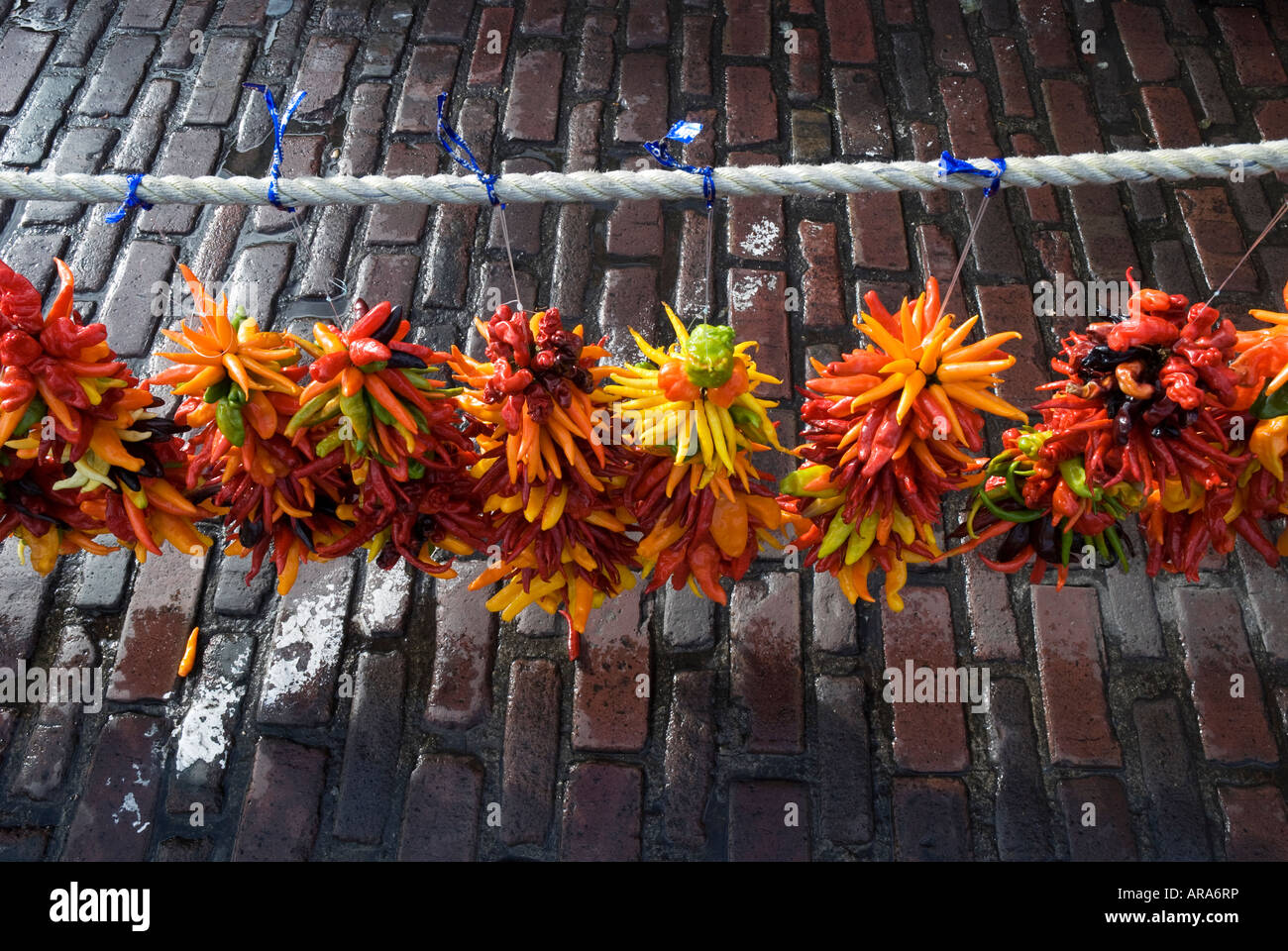 Decorative peperoncino in vendita presso il Mercato di Pike Place Seattle Washington Foto Stock