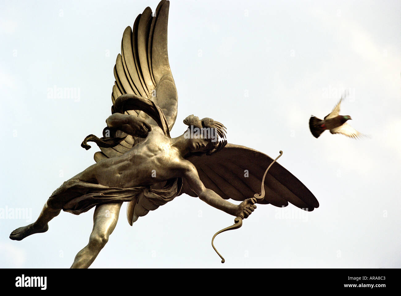 Un piccione si toglie dalla statua di Eros a Piccadilly Circus Londra Inghilterra REGNO UNITO Foto Stock