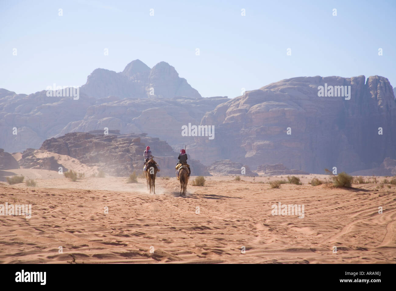 Camel Riders Wadi Rum Petra Giordania Foto Stock