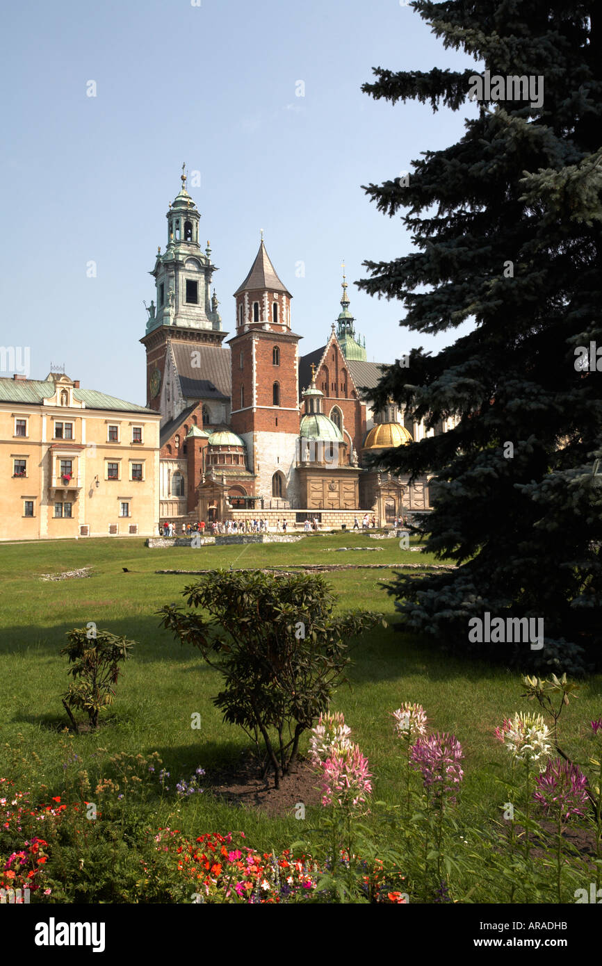 La Polonia Malopolska Provincia Cracovia Cracovia Cracof Cattedrale di Wawel Castle fiori in primo piano Foto Stock