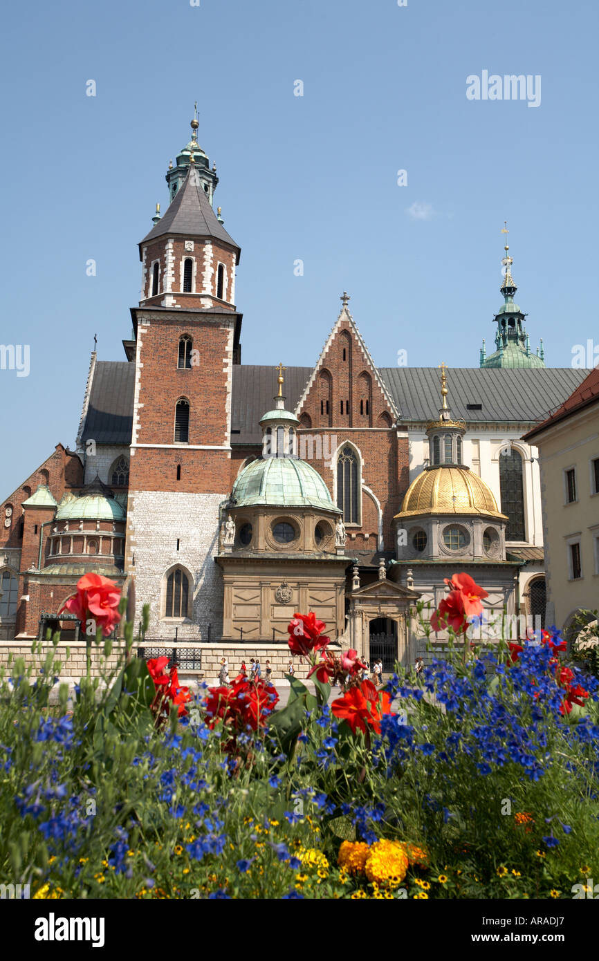 La Polonia Polska Cracovia Cracovia Cracof Cattedrale di Wawel Castle fiori in primo piano Foto Stock