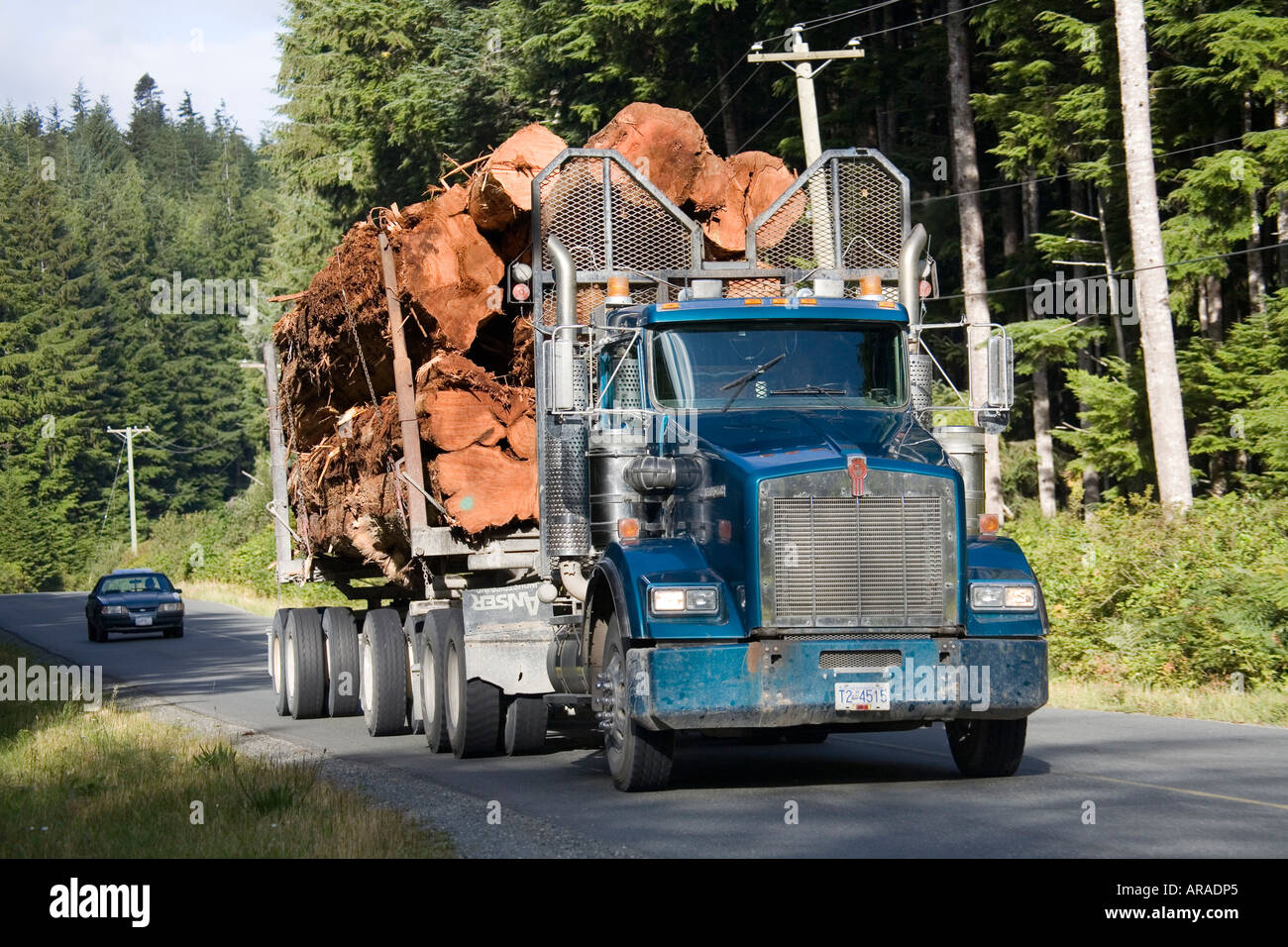 Accesso camion che trasportano tronchi di cedro rosso dell'ovest Port McNeill isola di Vancouver in Canada Foto Stock