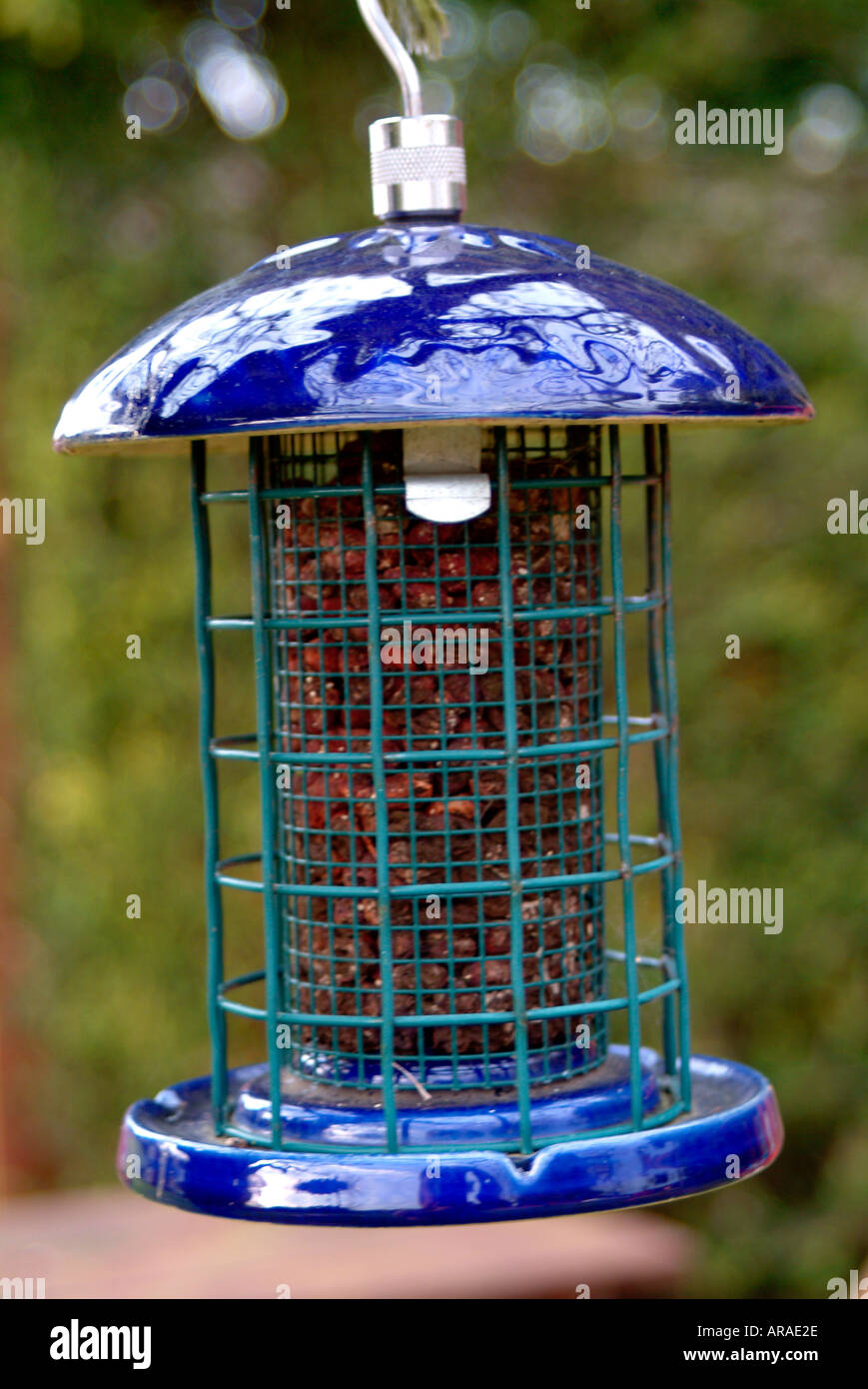 Bird Feeder appesi in giardino da albero Foto Stock