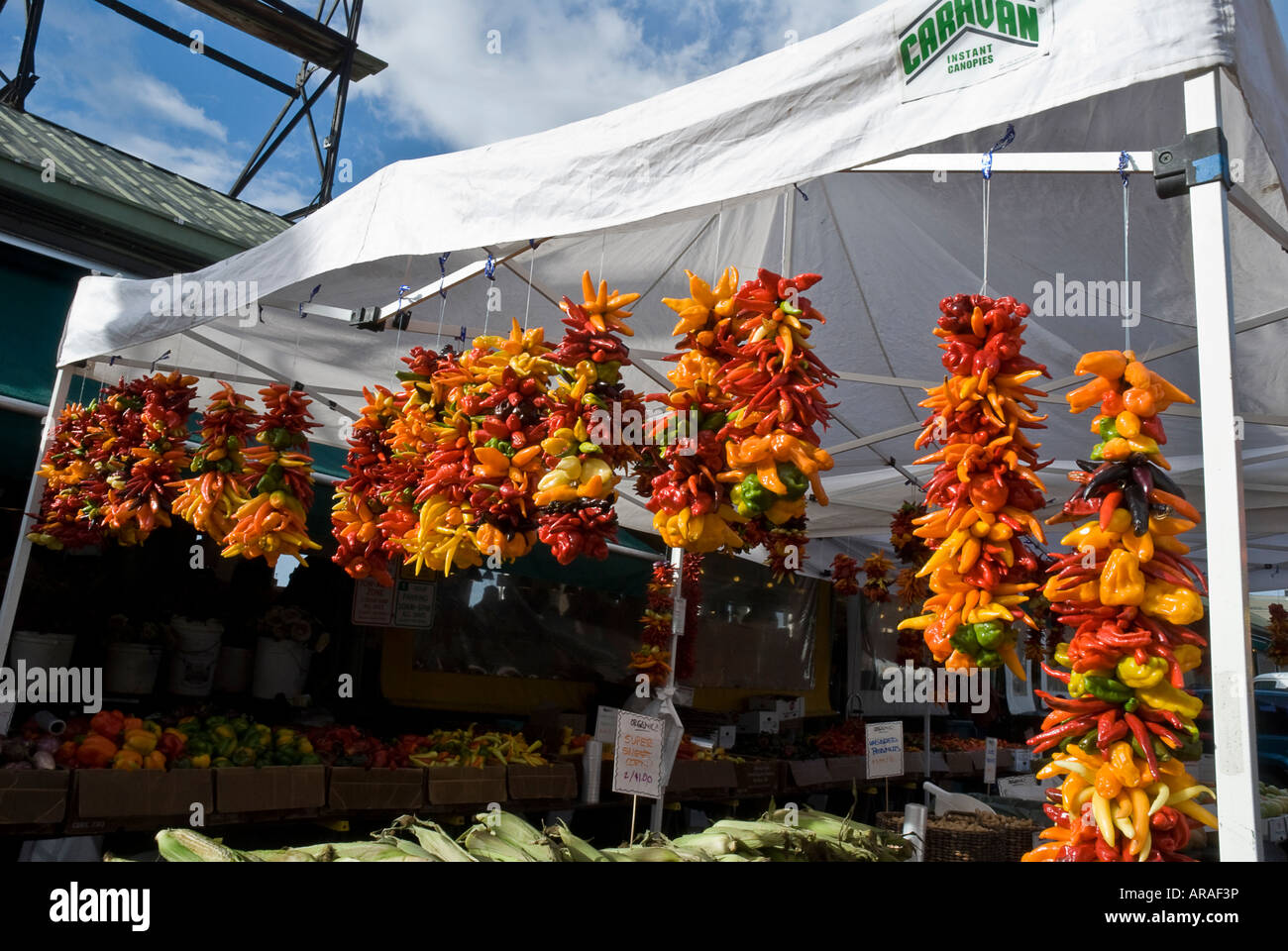 Il peperoncino in vendita presso il Mercato di Pike Place Seattle Washington Foto Stock