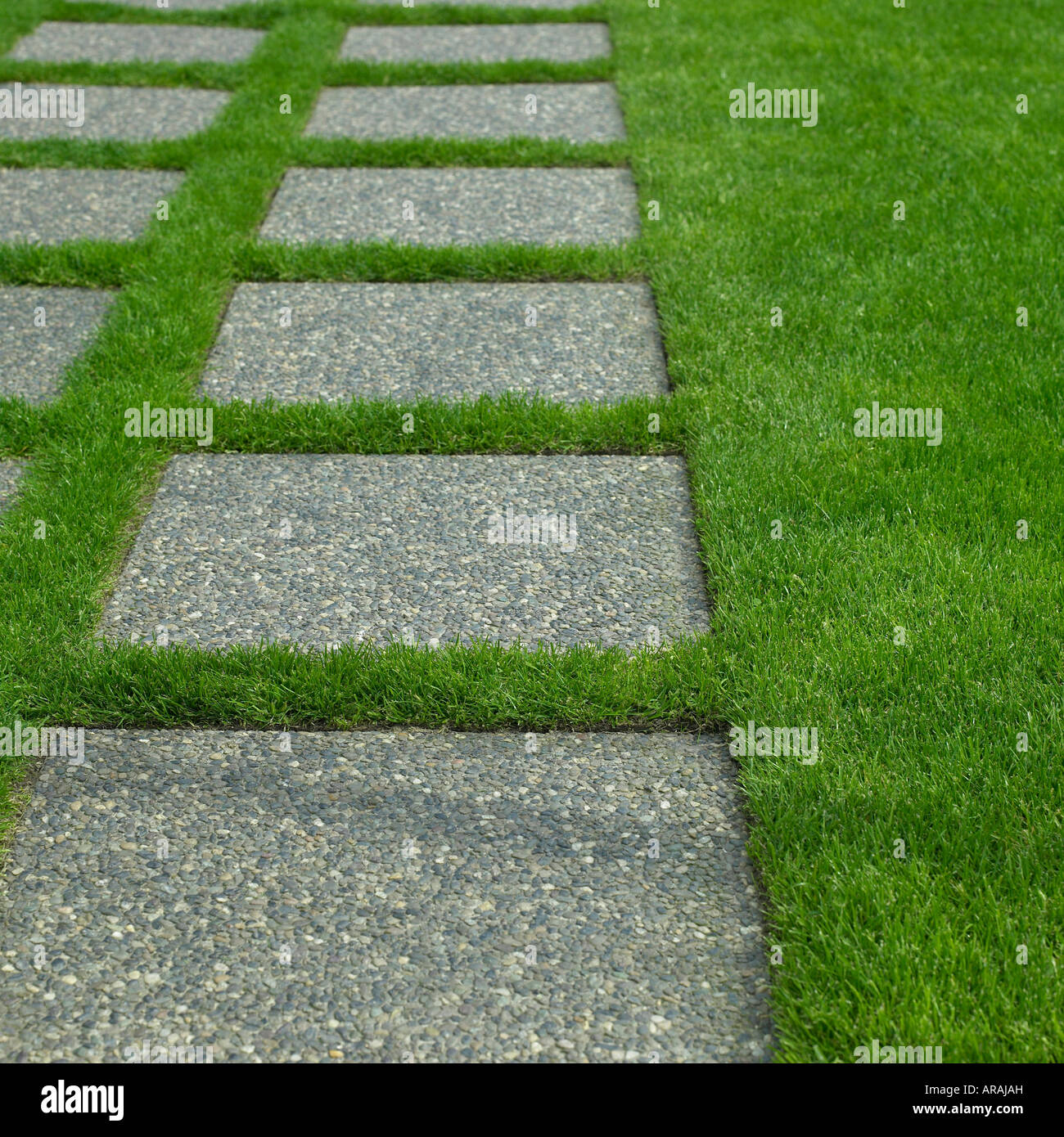 Passerella di pietra attraverso l'erba Foto Stock