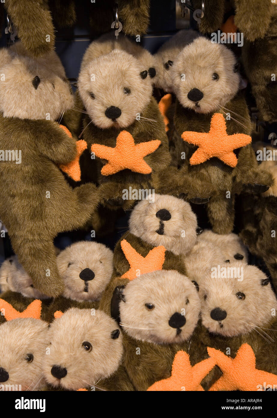 Peluche le lontre marine e stelle marine per la vendita Vancouver British  Columbia Canada Foto stock - Alamy