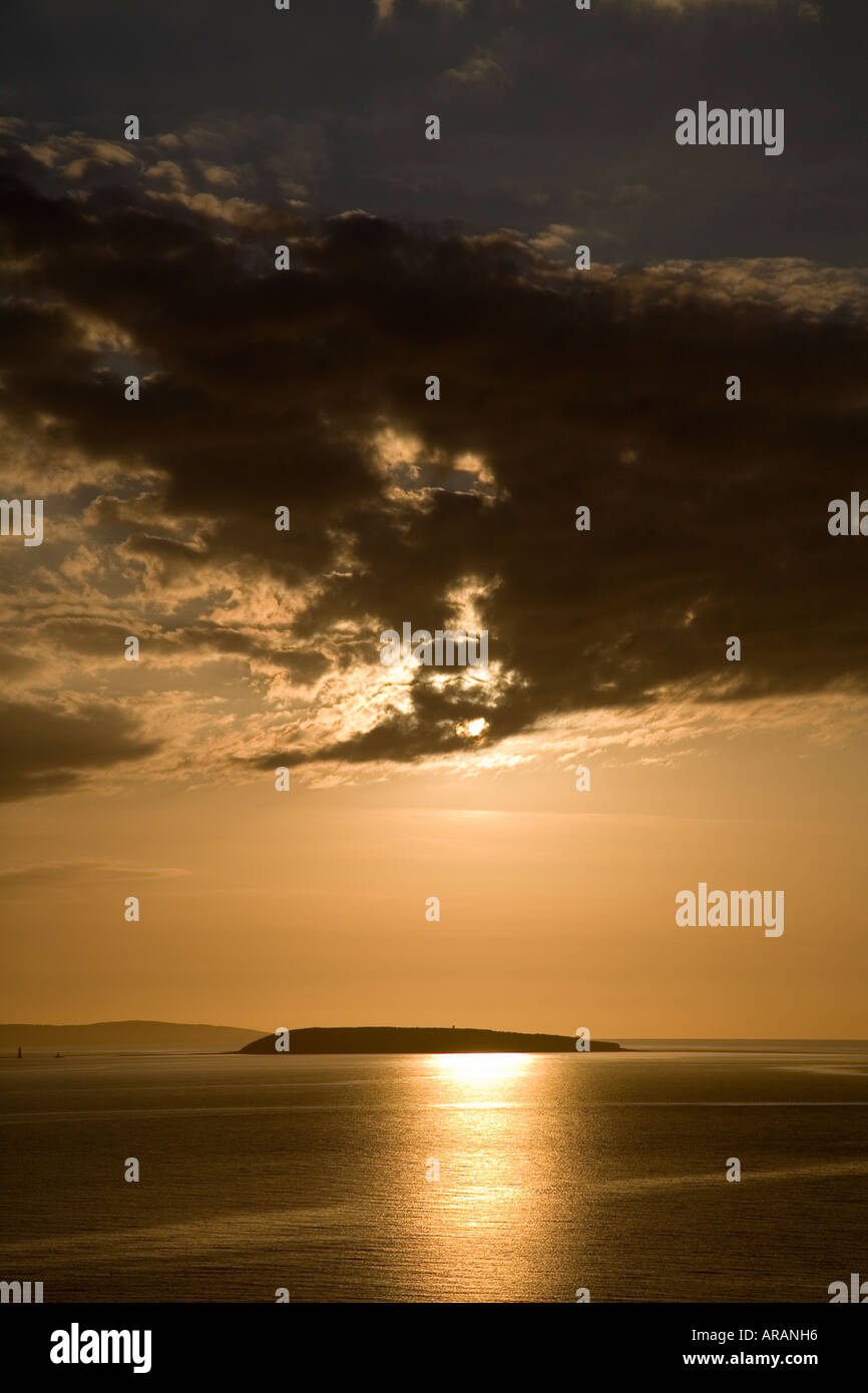 Puffin o Priestholm isola da Ross on Wye North Wales UK Foto Stock