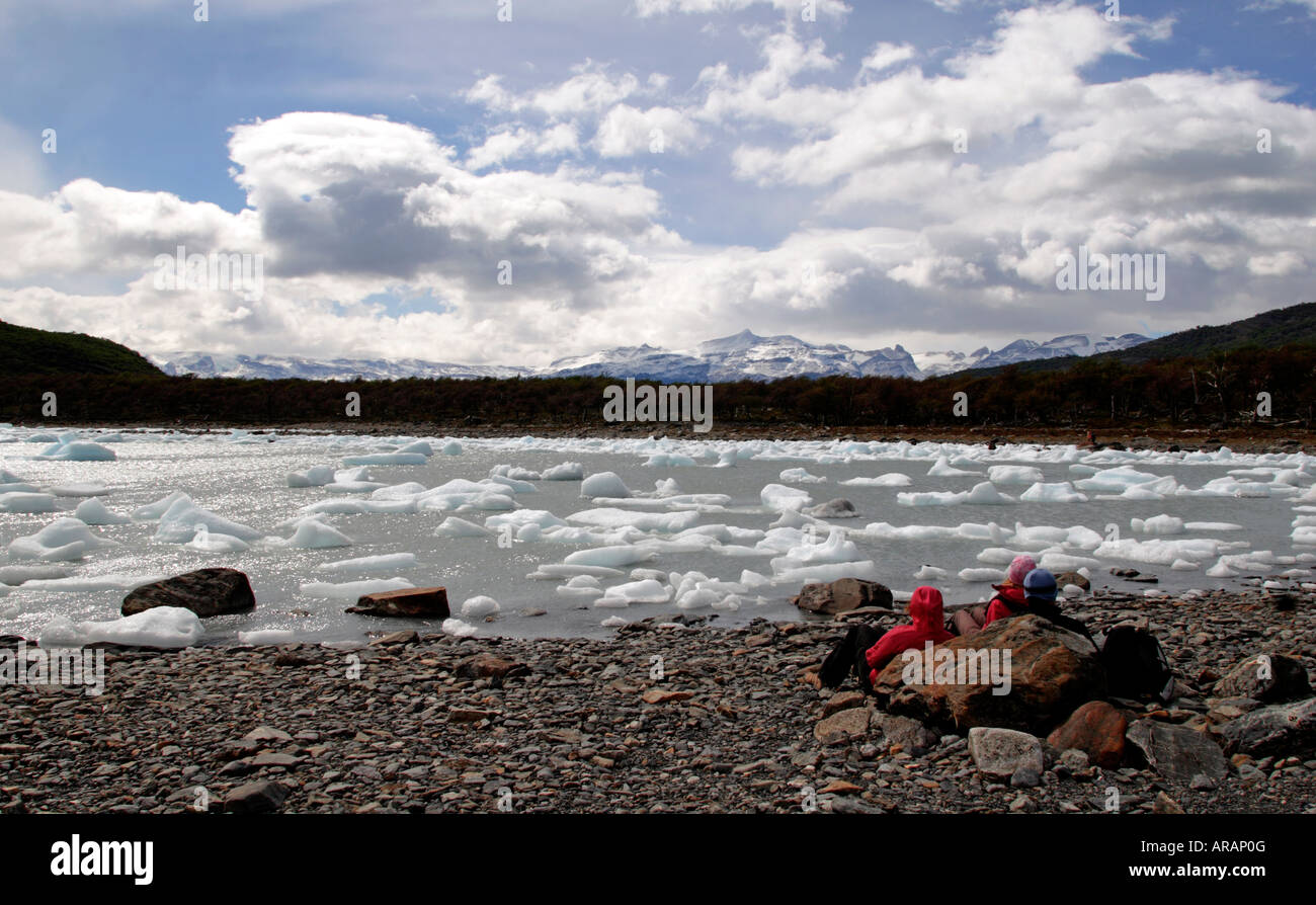 La Patagonia Argentina Il Parco Nazionale di Glacier Onelli lago e iceberg galleggianti Foto Stock