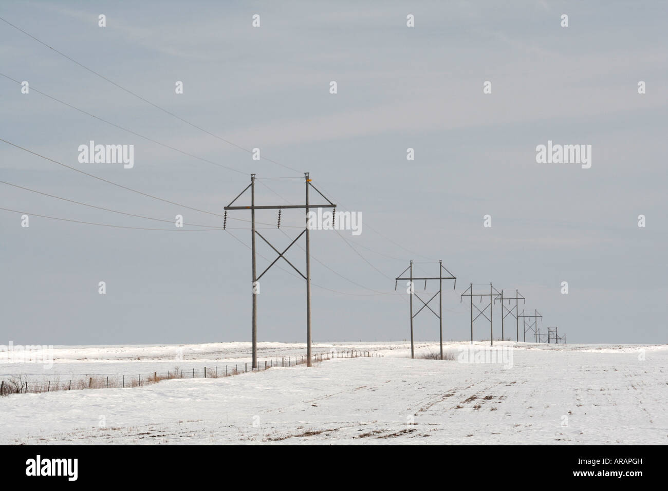 Linee di trasmissione di potenza elettrica su prateria di inverno Foto Stock