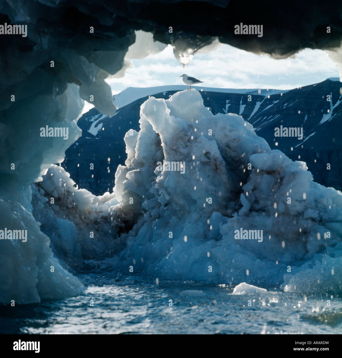 Iceberg sotto il sole di mezzanotte Spitzberg Baie du Roi Arctic Astronomia atmosfera atmosfere Ambiance Ambiance indietro per la retroilluminazione Foto Stock