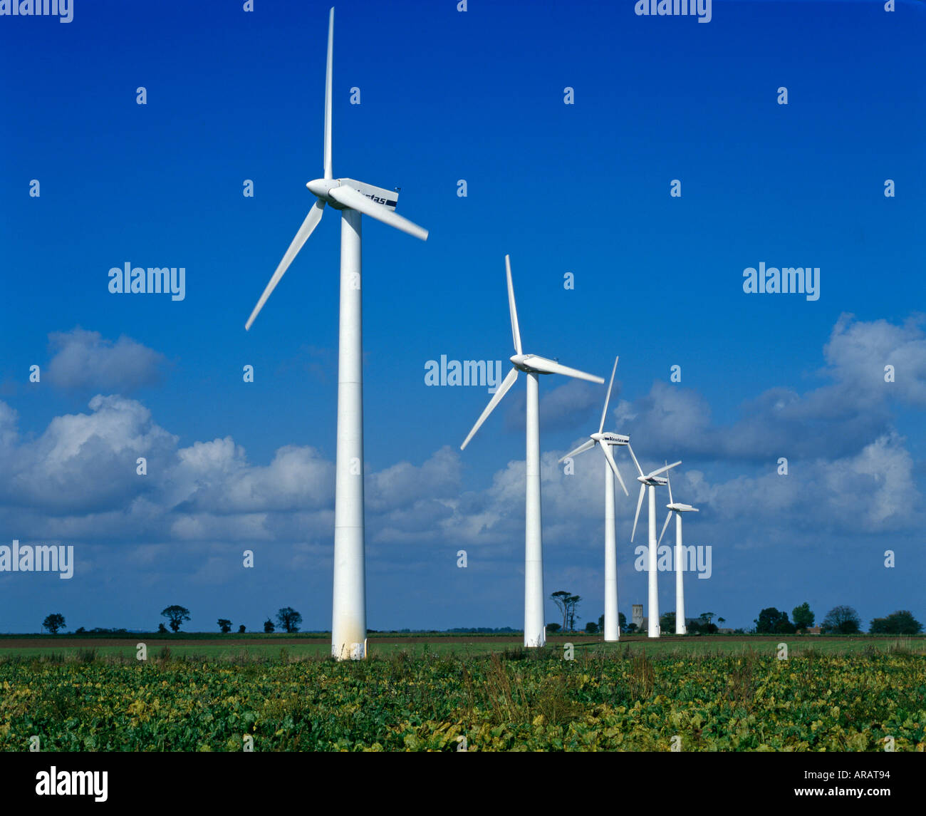 Windpower linea di gererators in piante coltivate agricole campo Norfolk Inghilterra Ottobre Foto Stock