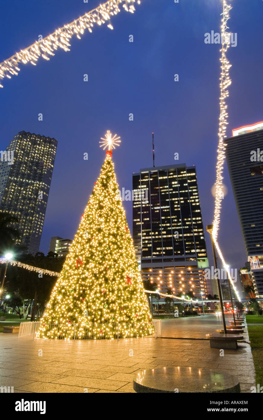 Natale Miami.Le Luci Di Natale Si Accendono Al Centro Cittadino Di Miami Florida Skyline Foto Stock Alamy