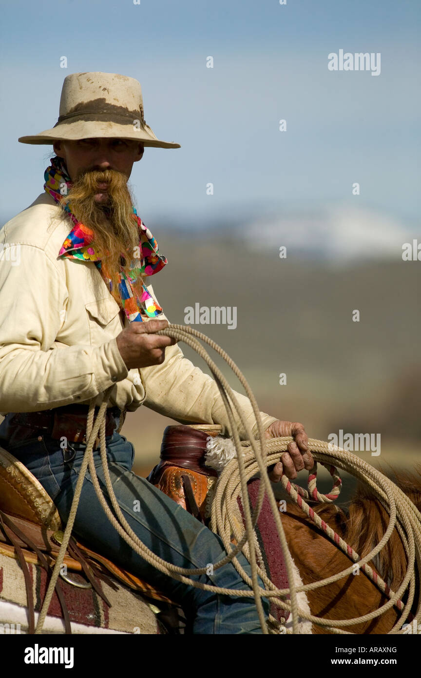 Signor Duane un ranch mano sull'Hanley Ranch opere vacche a molla il branding della Valle del Giordano Orego Foto Stock