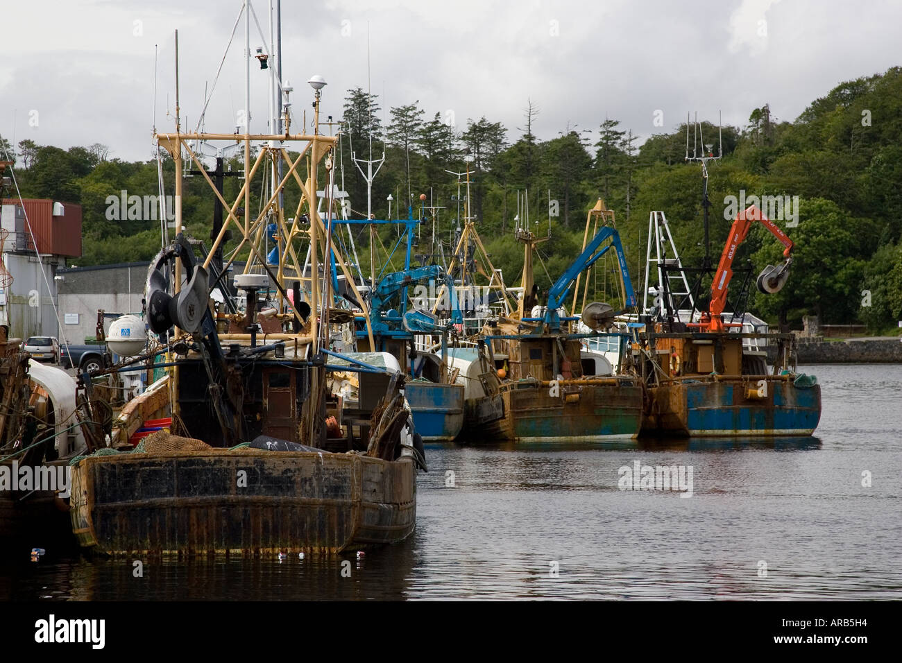 Trawler barche da pesca a Stornoway Ebridi Esterne Regno Unito Foto Stock