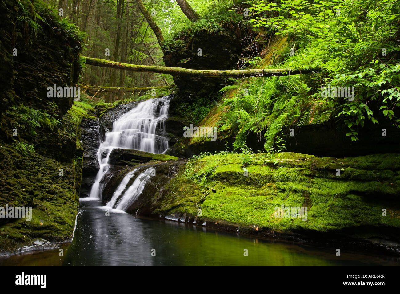 Una cascata lungo Hornbeck's Creek nel Delaware Water Gap National Recreation Area, Pennsylvania. Foto Stock