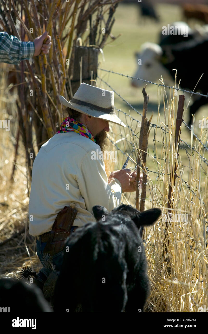 Signor un ranch correzioni a mano un recinto sul Hanley ranch della Valle del Giordano o Foto Stock