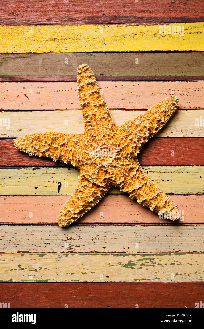 Set 10 Ancore Decorative In Legno Da 5 Cm - Decorazioni Marine Per Tavolo, Regali E Fai-da-te - Tema Spiaggia E Mare