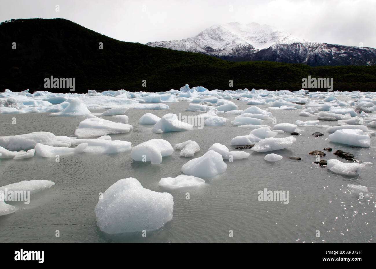 La Patagonia Argentina Il Parco Nazionale di Glacier Onelli lago e iceberg galleggianti Foto Stock