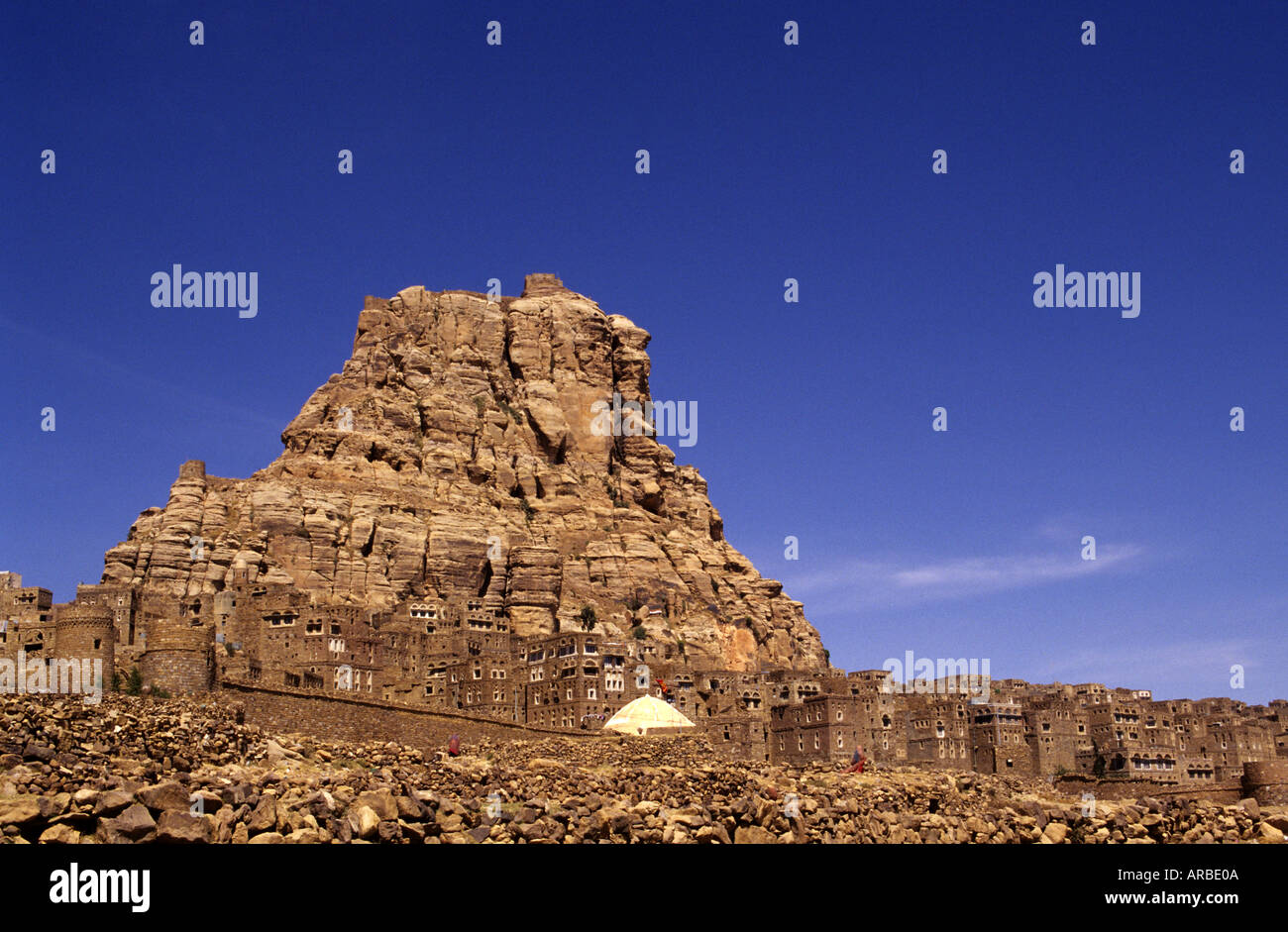Repubblica dello Yemen Thuja Copyright Sergio Pitamitz Foto Stock