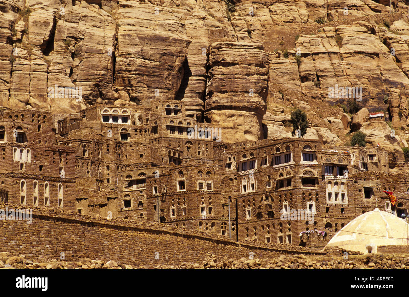 Repubblica dello Yemen Thuja Copyright Sergio Pitamitz Foto Stock