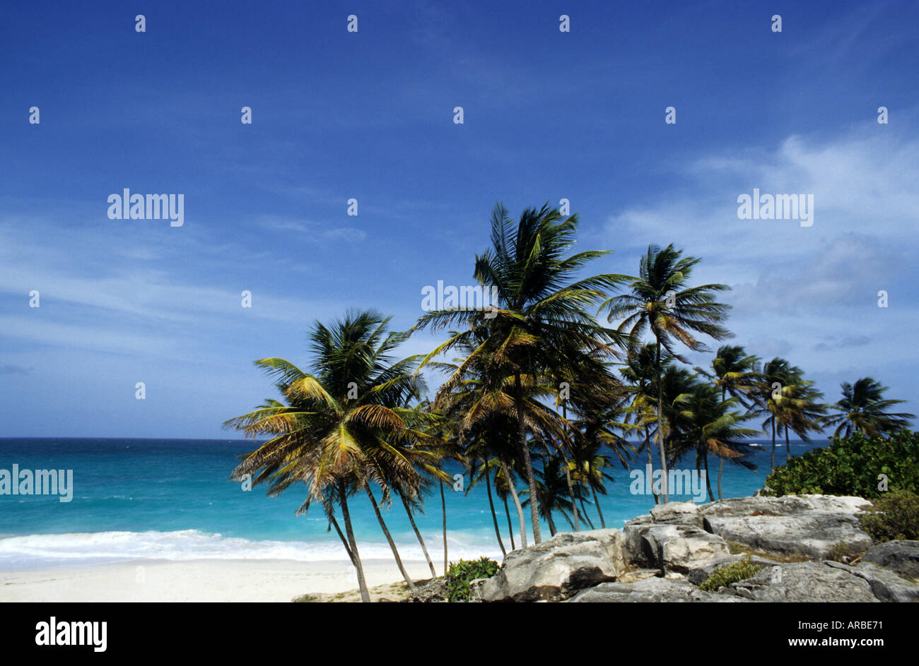 Fondo Barbados Bay Copyright Sergio Pitamitz Foto Stock