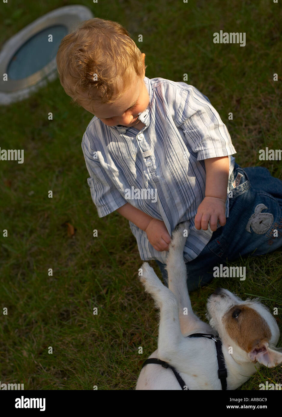 Il bambino gioca con il cane Foto Stock