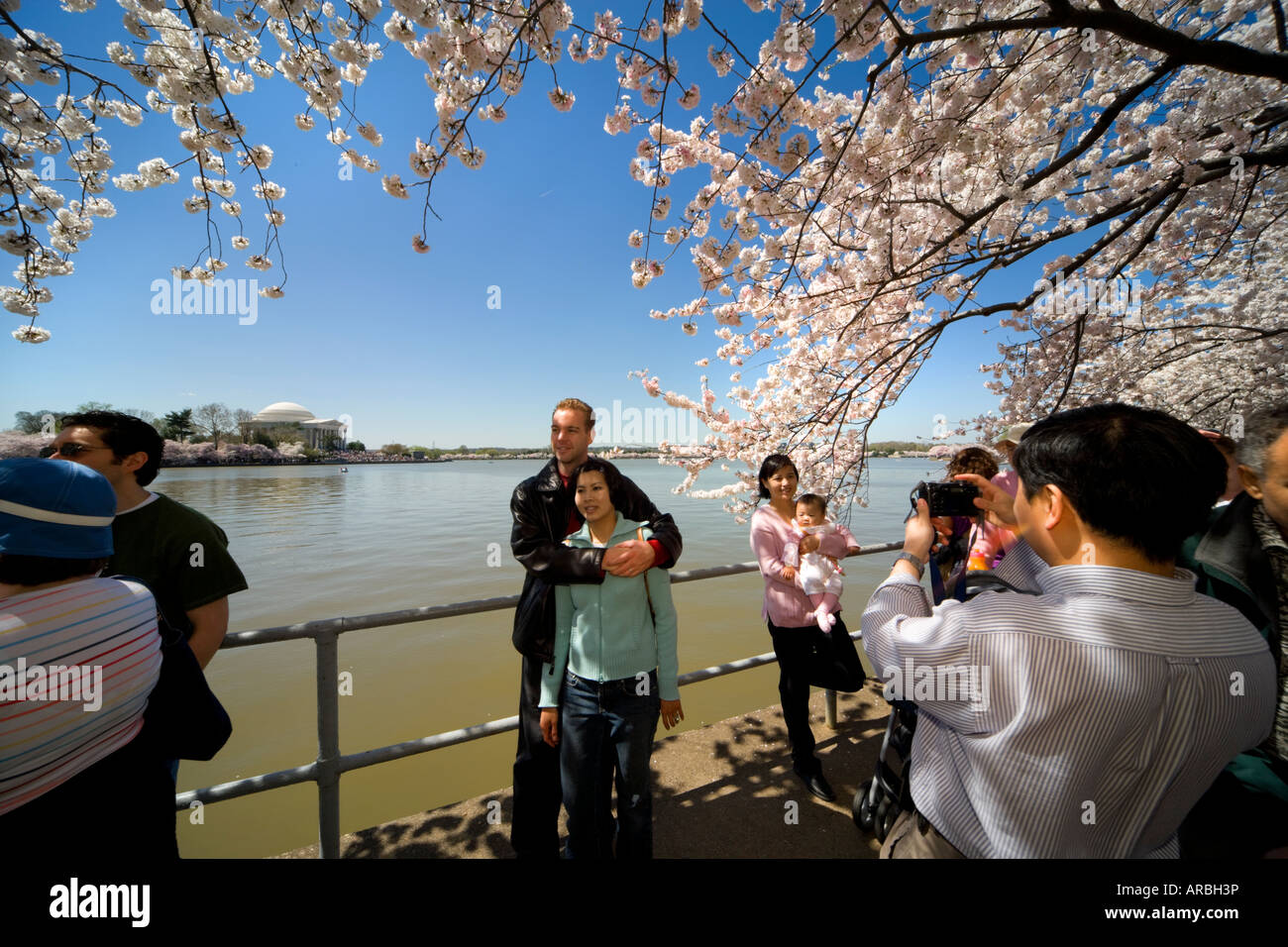 Scattare fotografie presso il National Cherry Blossom Festival di Washington DC. Tidal Basin con il Jefferson Memorial in background Foto Stock