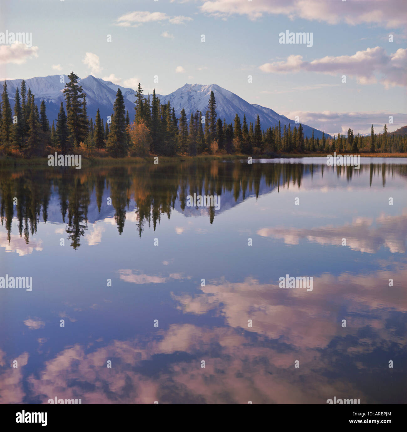 Riflessioni, Deneki laghi, McKinley Park, Alaska, STATI UNITI D'AMERICA Foto Stock