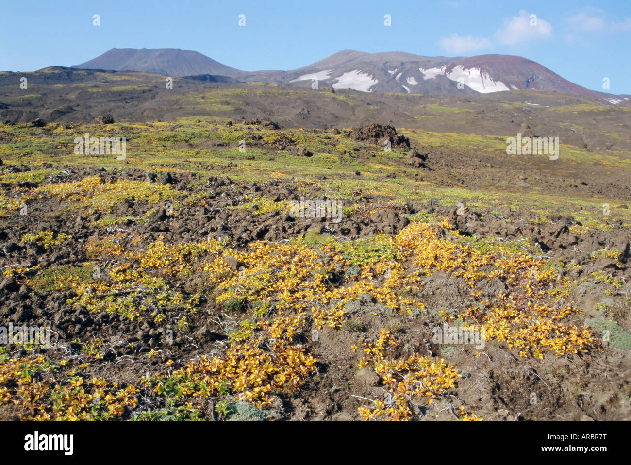 Il vulcano Gorely, tundra piante su pendii, cratere sommitale bordi sullo skyline, Kamchatka, est della Siberia, Russia Foto Stock
