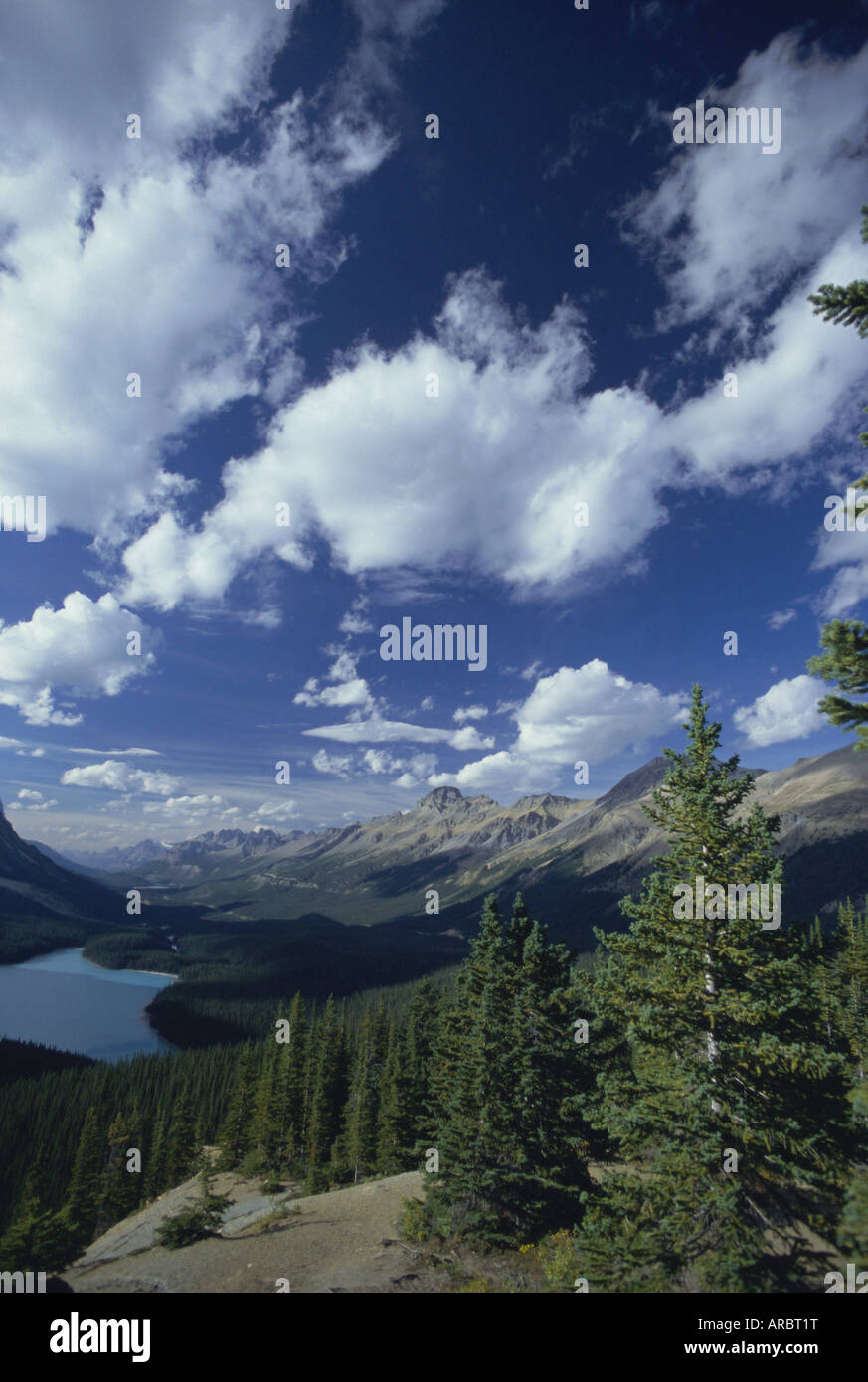 La Valle di Mistaya e Peyto Lake, il Parco Nazionale di Banff, montagne rocciose, Columbia Britannica (a.C.), Canada Foto Stock