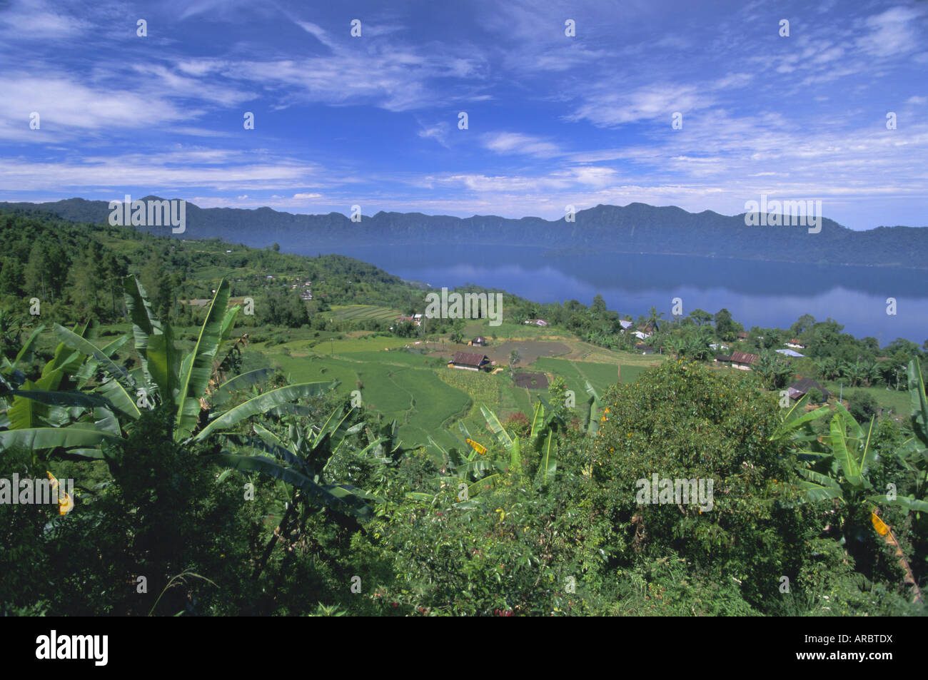 Terrazze di riso sulla sponda orientale del lago craterico, Lago Maninjau, a ovest di Sumatra, Sumatra, Indonesia, Asia sud-orientale, Asia Foto Stock