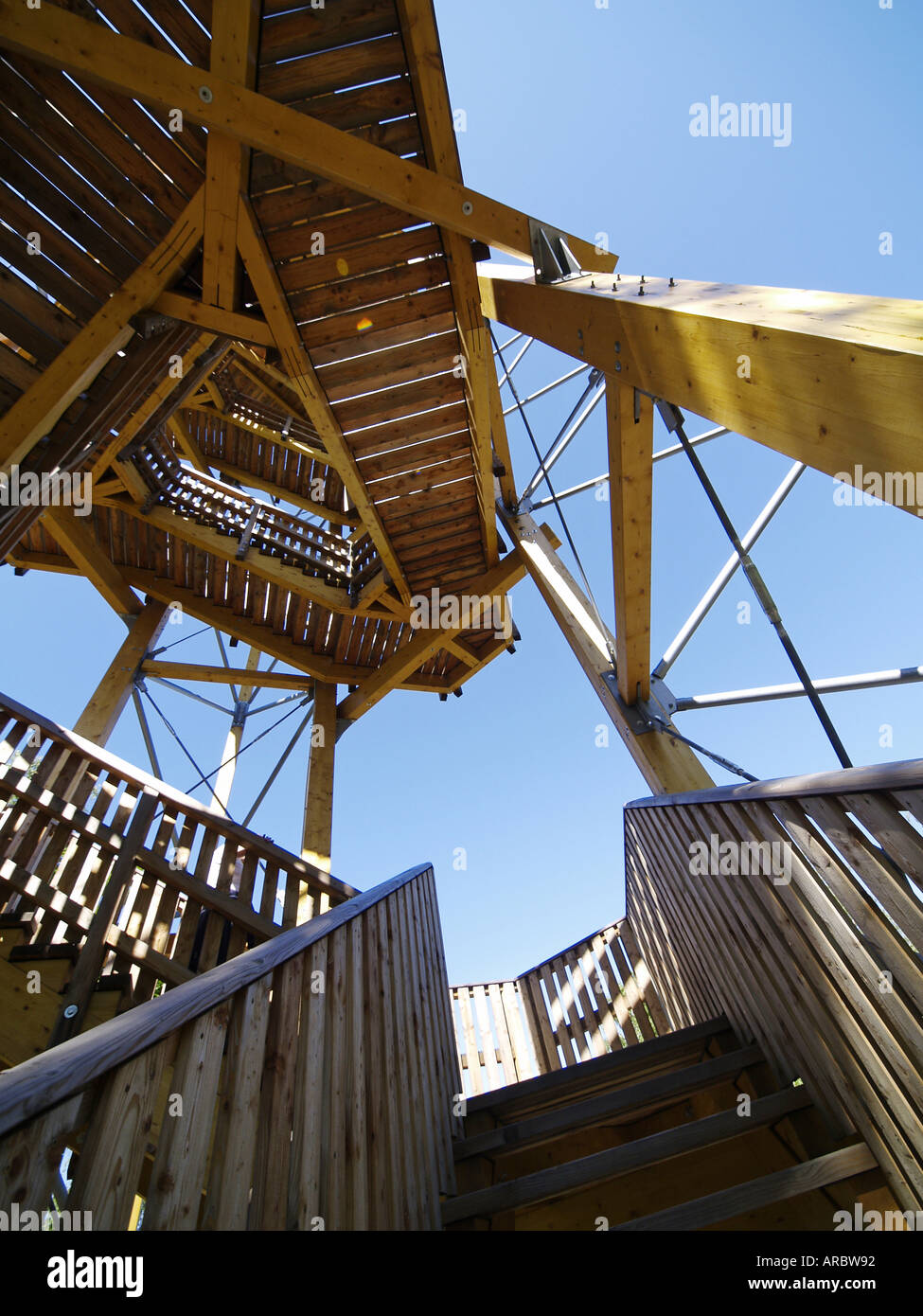 Granitstone heath vicino Gmuend, legno mastio Foto Stock