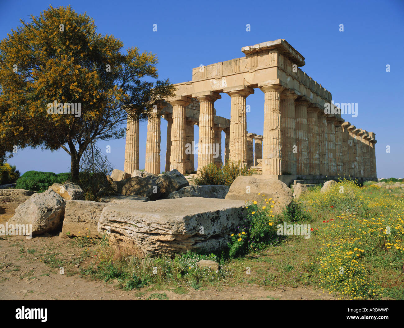 Tempio E (V secolo a.C.), Selununte, Sicilia, Italia Foto Stock