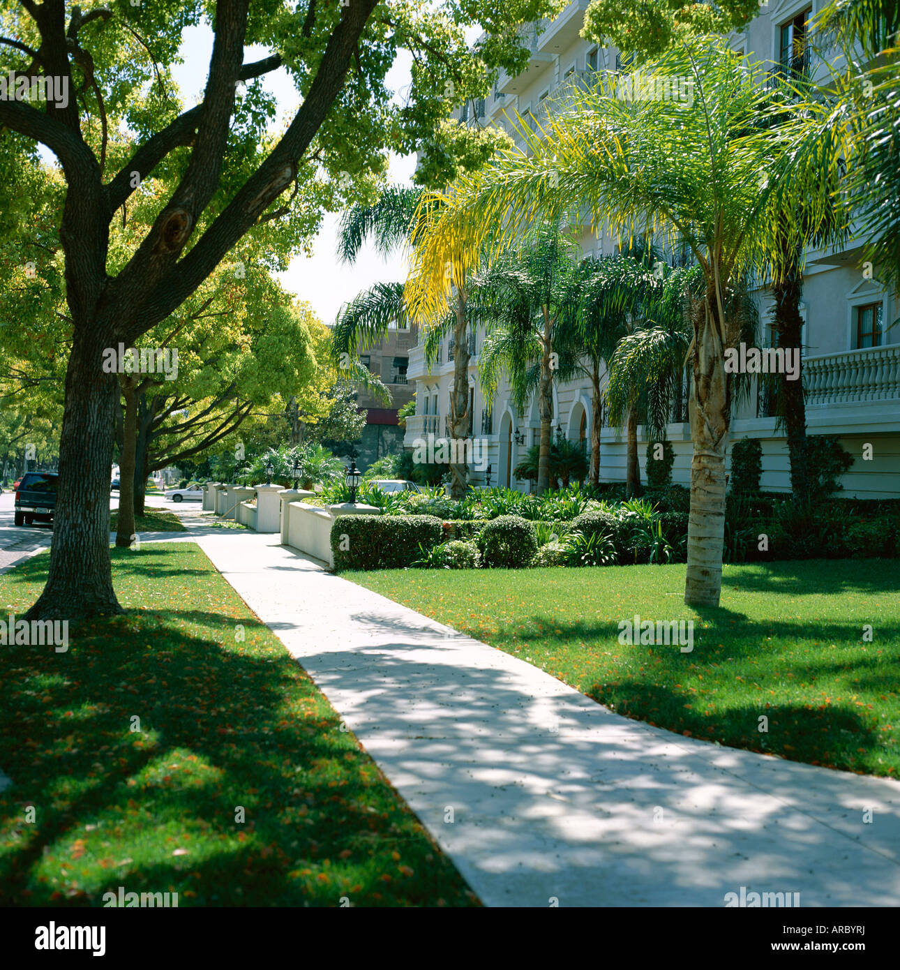 Alberi e erba lungo il marciapiede, Beverly Hills, Los Angeles, California, Stati Uniti d'America (USA), America del Nord Foto Stock