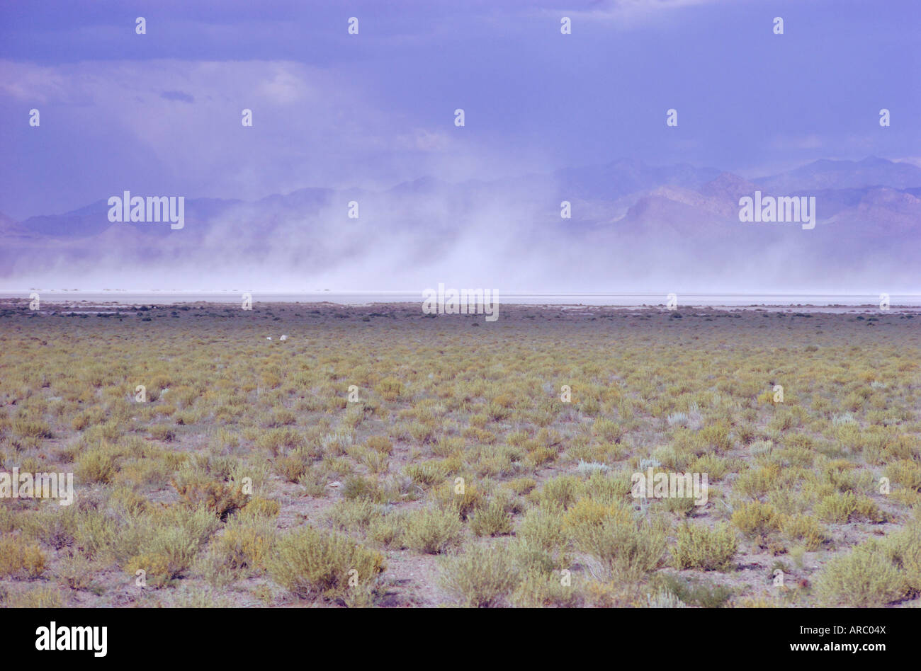 Le saline, Nevada, Stati Uniti d'America, tempesta di polvere Foto Stock