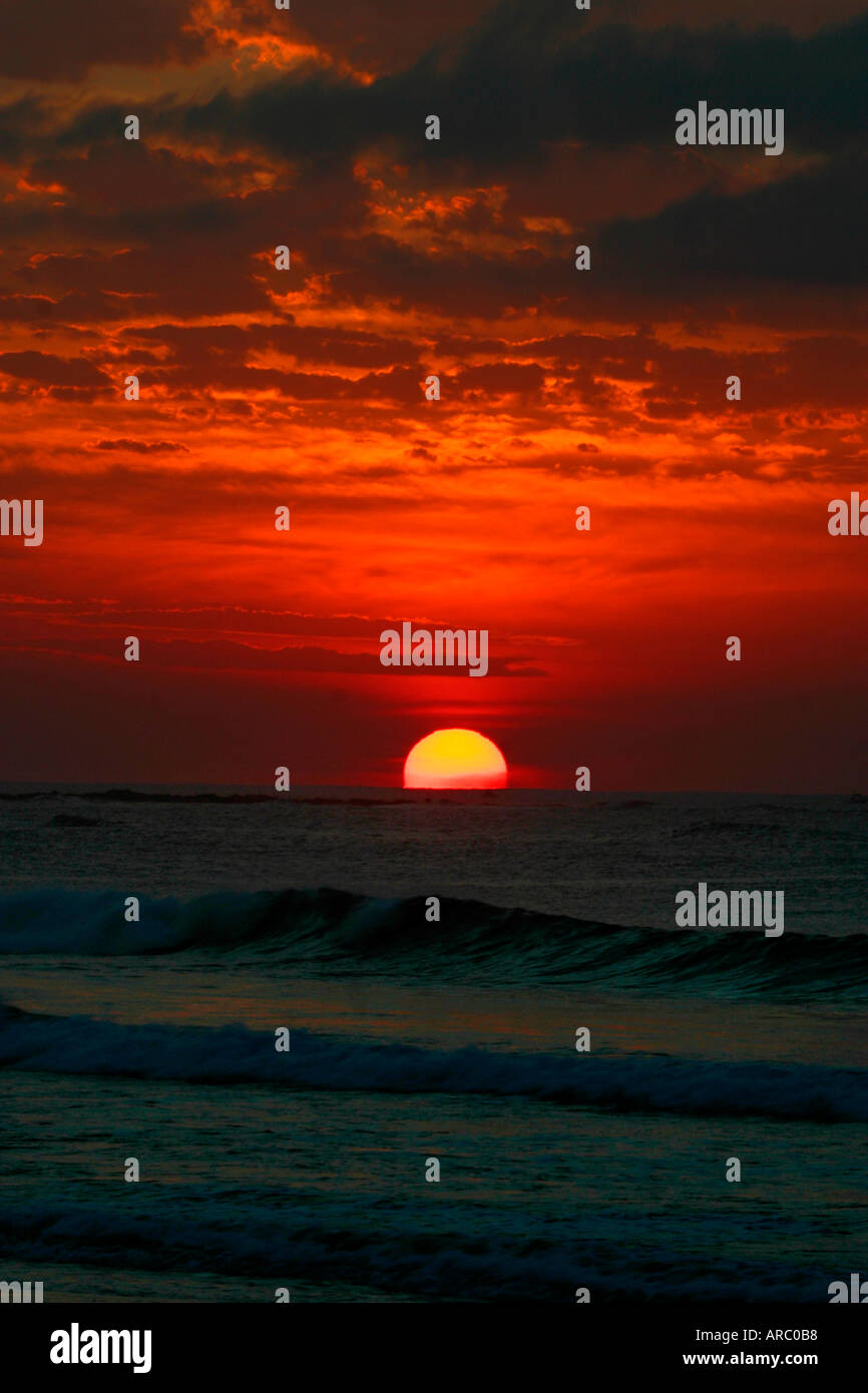 Sunrise su Australian east coast a lunga barriera corallina su Sydney s spiagge settentrionali Foto Stock