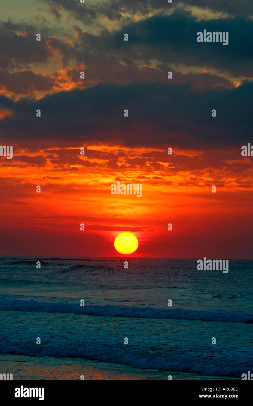 Sunrise su Australian east coast a lunga barriera corallina su Sydney s spiagge settentrionali Foto Stock