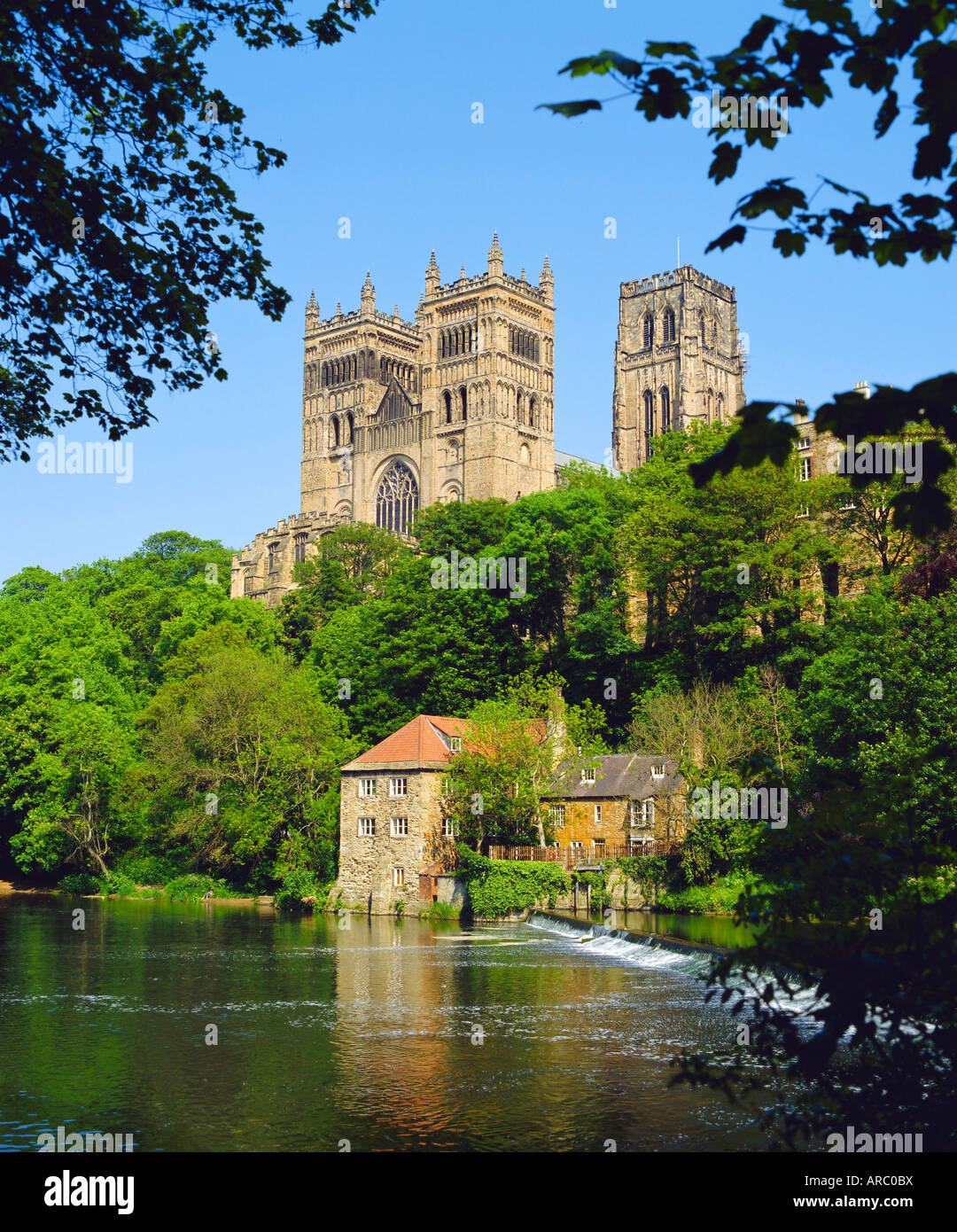 La Cattedrale di Durham dal fiume usura, County Durham, Inghilterra Foto Stock