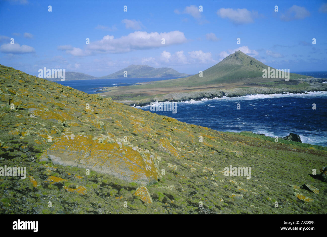 Steeple Jason, una delle isole più remote, Isole Falkland, Sud America Foto Stock