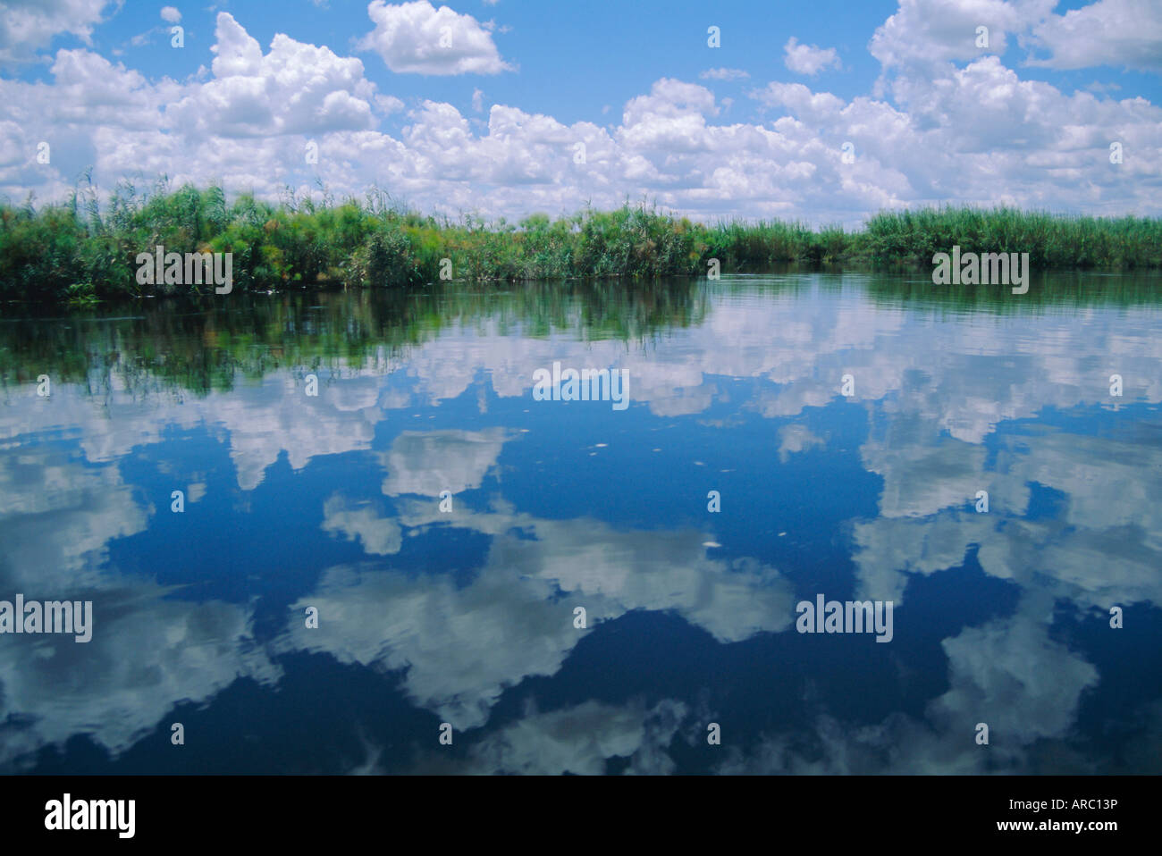 Okavango Delta, Botswana, Africa Foto Stock
