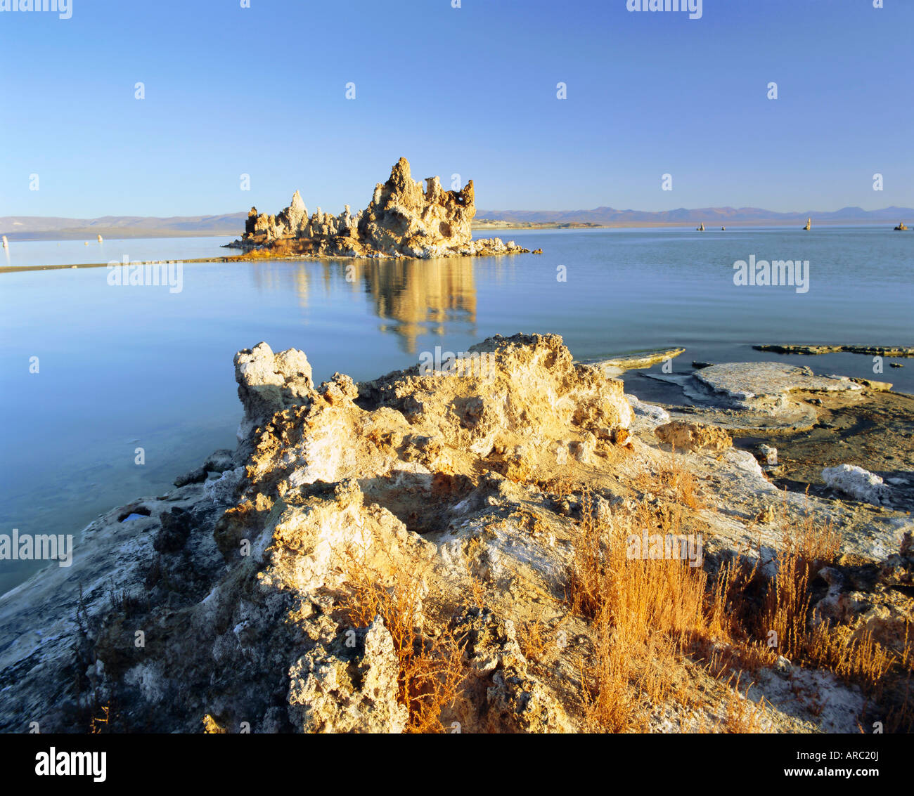 Tufas di carbonato di calcio, Mono Lago Riserva Statale, CALIFORNIA, STATI UNITI D'AMERICA Foto Stock