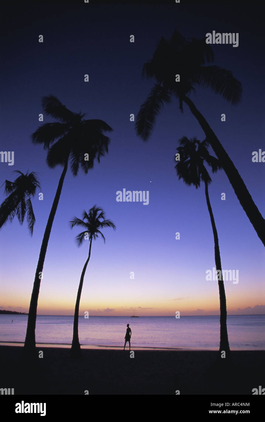 Grand Anse spiaggia al tramonto, Grenada, isole Windward, West Indies, dei Caraibi e America centrale Foto Stock