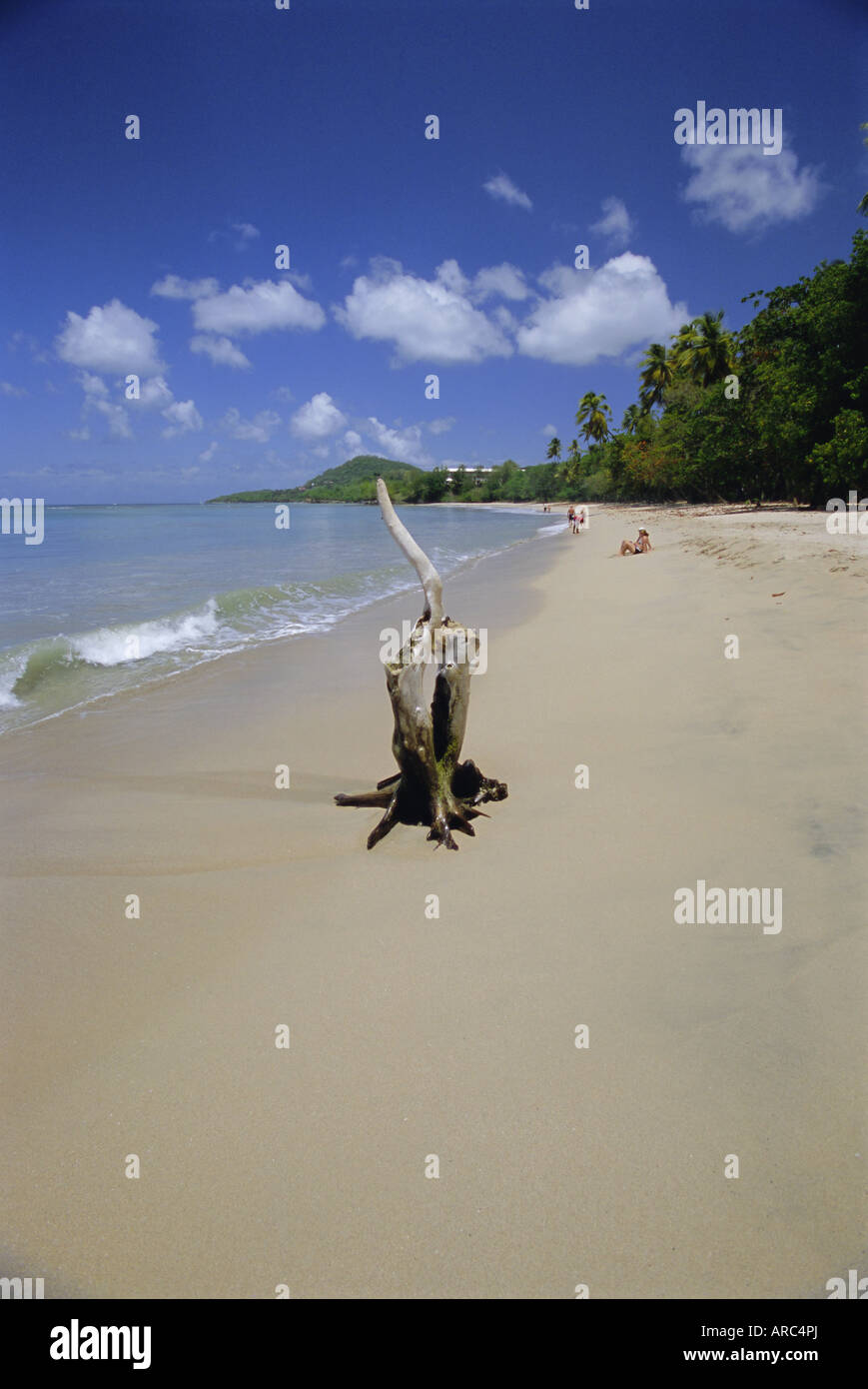 Spiaggia di choc Bay, Santa Lucia, isole Windward, West Indies, dei Caraibi e America centrale Foto Stock