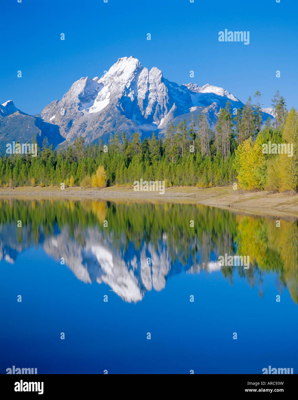 Il lago Jackson, Colter Bay, il Parco Nazionale del Grand Teton, Wyoming USA Foto Stock