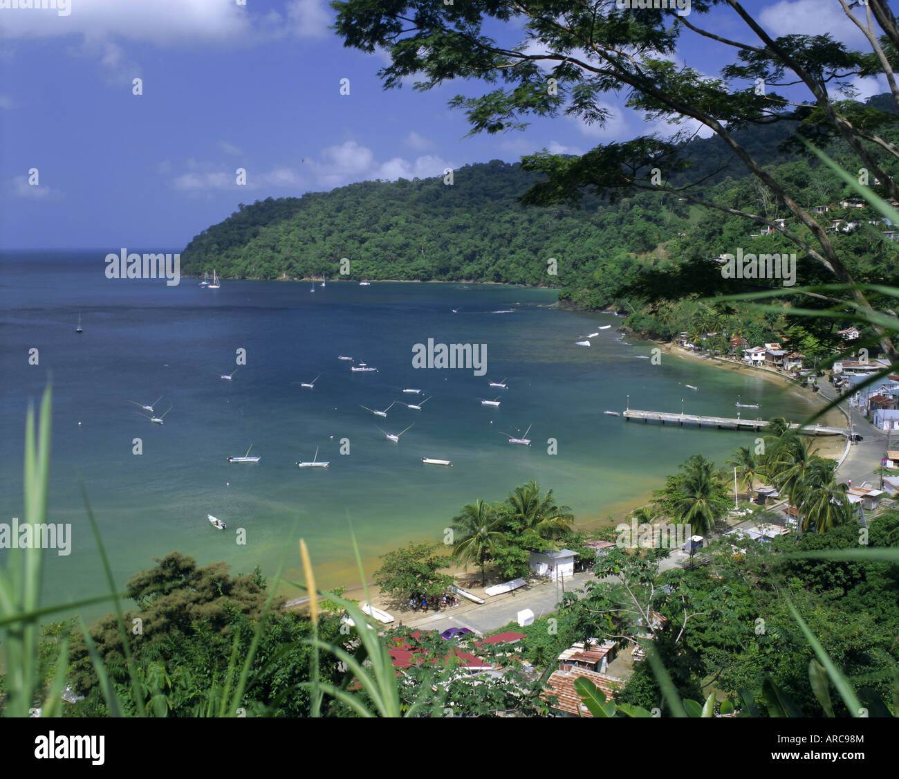 Charlotteville, Tobago Trinidad e Tobago, Caraibi, West Indies, America Centrale Foto Stock