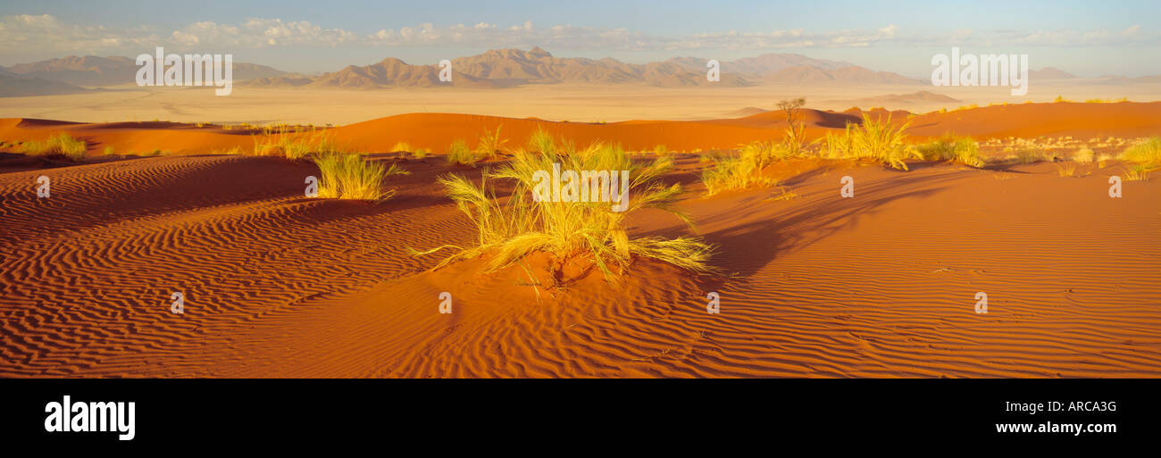 Le dune di sabbia e montagne, Namib Rand Game Reserve, Namib Naukluft Park, Namibia Foto Stock