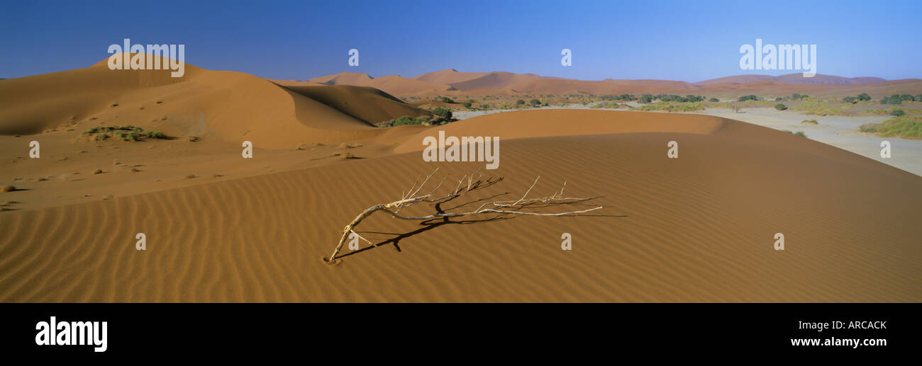 Vista panoramica su dune Sossusvlei, Namib Naukluft Park, Namib Desert, Namibia, Africa Foto Stock