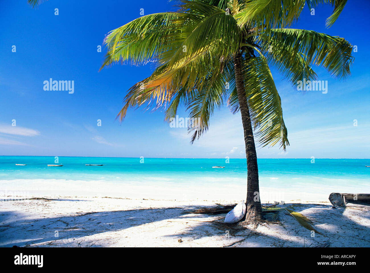 Palm tree, spiaggia di sabbia bianca e Oceano Indiano, Jambiani, isola di Zanzibar, Tanzania, Africa orientale, Africa Foto Stock