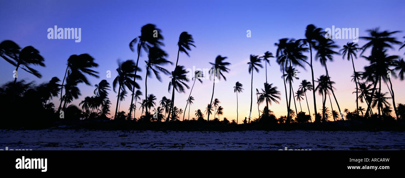 La scena sulla spiaggia al tramonto con palme in silhouette, vicino a Bweju, isola di Zanzibar, Tanzania, Africa orientale, Africa Foto Stock